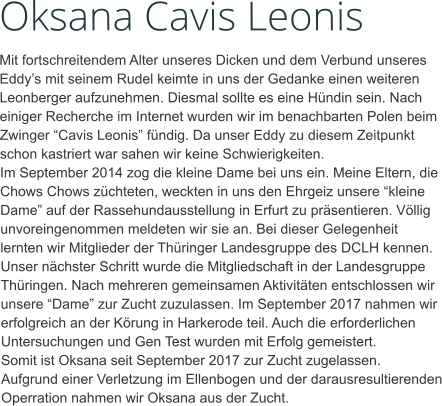 Oksana Cavis Leonis Mit fortschreitendem Alter unseres Dicken und dem Verbund unseres Eddy’s mit seinem Rudel keimte in uns der Gedanke einen weiteren Leonberger aufzunehmen. Diesmal sollte es eine Hündin sein. Nach einiger Recherche im Internet wurden wir im benachbarten Polen beim Zwinger “Cavis Leonis” fündig. Da unser Eddy zu diesem Zeitpunkt schon kastriert war sahen wir keine Schwierigkeiten. Im September 2014 zog die kleine Dame bei uns ein. Meine Eltern, die Chows Chows züchteten, weckten in uns den Ehrgeiz unsere “kleine Dame” auf der Rassehundausstellung in Erfurt zu präsentieren. Völlig unvoreingenommen meldeten wir sie an. Bei dieser Gelegenheit lernten wir Mitglieder der Thüringer Landesgruppe des DCLH kennen. Unser nächster Schritt wurde die Mitgliedschaft in der Landesgruppe Thüringen. Nach mehreren gemeinsamen Aktivitäten entschlossen wir unsere “Dame” zur Zucht zuzulassen. Im September 2017 nahmen wir erfolgreich an der Körung in Harkerode teil. Auch die erforderlichen Untersuchungen und Gen Test wurden mit Erfolg gemeistert. Somit ist Oksana seit September 2017 zur Zucht zugelassen. Aufgrund einer Verletzung im Ellenbogen und der darausresultierenden Operration nahmen wir Oksana aus der Zucht.