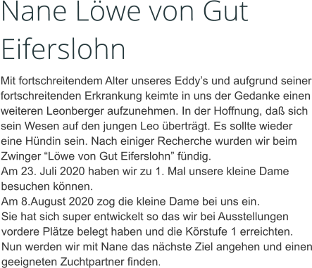 Nane Löwe von Gut Eiferslohn Mit fortschreitendem Alter unseres Eddy’s und aufgrund seiner fortschreitenden Erkrankung keimte in uns der Gedanke einen weiteren Leonberger aufzunehmen. In der Hoffnung, daß sich sein Wesen auf den jungen Leo überträgt. Es sollte wieder eine Hündin sein. Nach einiger Recherche wurden wir beim Zwinger “Löwe von Gut Eiferslohn” fündig.  Am 23. Juli 2020 haben wir zu 1. Mal unsere kleine Dame besuchen können. Am 8.August 2020 zog die kleine Dame bei uns ein.  Sie hat sich super entwickelt so das wir bei Ausstellungen vordere Plätze belegt haben und die Körstufe 1 erreichten. Nun werden wir mit Nane das nächste Ziel angehen und einen geeigneten Zuchtpartner finden.